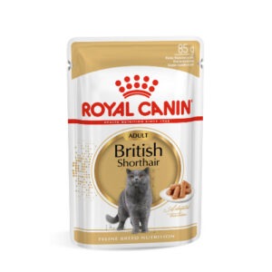 Royal Canin British Shorthair lõigud kastmes 12x85g