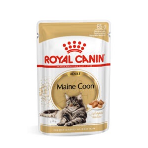 Royal Canin Maine Coon lõigud kastmes 12x85g