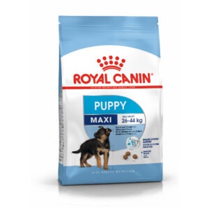 Royal Canin Maxi Puppy kutsikatoit