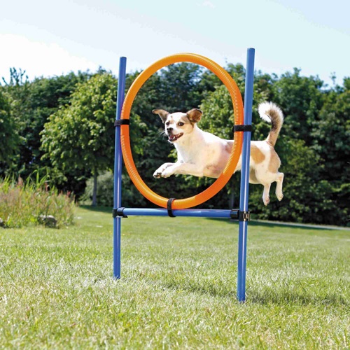Trixie Agility Ring hüpperõngas treeninguks koertele