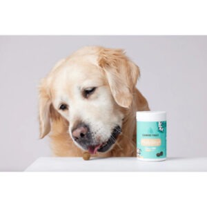 Candid Tails CBD Mobility+ kanepiga liigeseid ja liikumist toetav maius koertele 150g