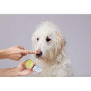 Candid Tails CBD niisutav ja rahustav käpa ja nina palsam koertele 30ml