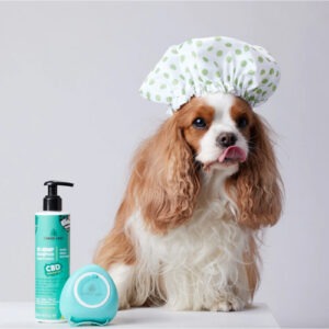 Candid Tails CBD kanepiga šampoon+palsam koertele 250ml