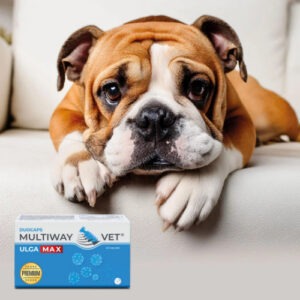 JM-Multiway Vet Duocaps RELIEF MAX stressi ja valu leevendus kassidele ja koertele 60tk