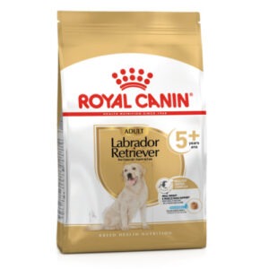 Royal Canin Labrador Retrievier Adult 5+ koeratoit 12kg
