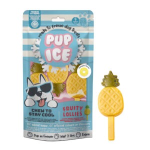PUP ICE Fruity Lollies ananassi jäätis koertele 2 tk